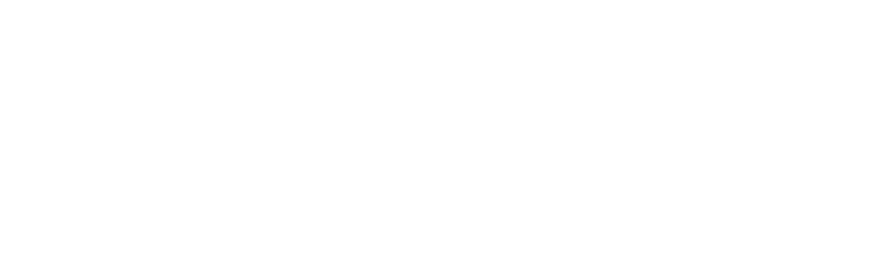 iFlipBrands